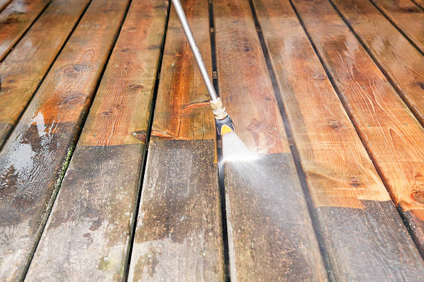 Best Residential House Exterior Washing  in Crowley Lake, CA